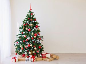 Kenapa Natal Identik dengan Warna Merah Hijau? Ternyata Ini Alasannya Kenapa Natal Identik dengan Warna Merah Hijau? Ternyata Ini Alasannya