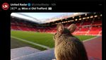 Meme Old Trafford Banyak Tikus, MU Kena Ledek Lagi