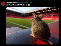 Bagi tikus, mungkin Old Trafford rumah yang nyaman dengan hamparan rumput hijau yang luas. (Foto: Twitter @UnitedRadar)