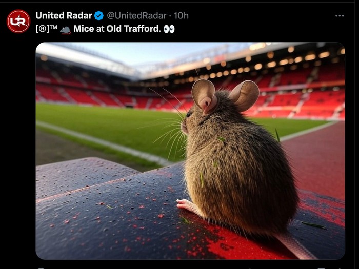 meme,stadion old trafford,tikus,tikus di old trafford,manchester united,man united,man utd,mu,meme mu,meme manchester united