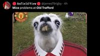 Meme Old Trafford Banyak Tikus, MU Kena Ledek Lagi