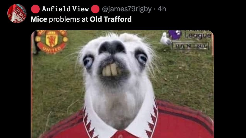 Meme Old Trafford Banyak Tikus, MU Kena Ledek Lagi Meme Old Trafford Banyak Tikus, MU Kena Ledek Lagi