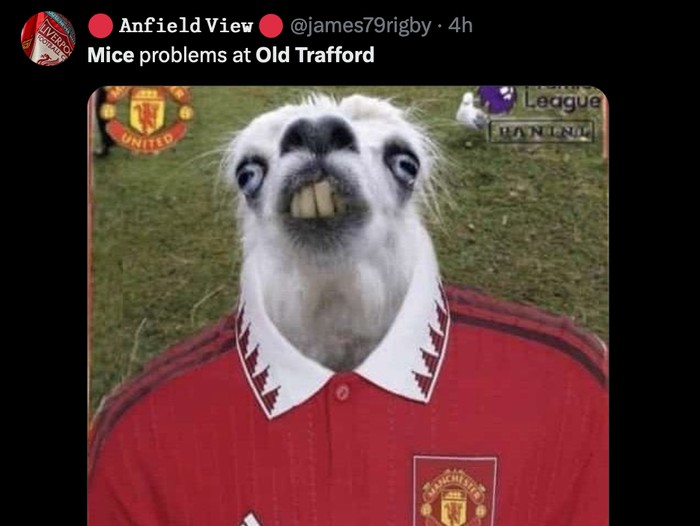 meme,stadion old trafford,tikus,tikus di old trafford,manchester united,man united,man utd,mu,meme mu,meme manchester united