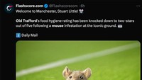 Apa cocok jika tikus di Old Trafford diberi nama Stuart Little? (Foto: Twitter @flashscorecom)