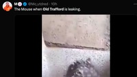 Begini nih penampakan tikus di Old Trafford, lagi asyik mandi. (Foto: Twitter @Mo_utdred)