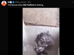 Begini nih penampakan tikus di Old Trafford, lagi asyik mandi. (Foto: Twitter @Mo_utdred)