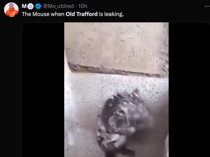 meme,stadion old trafford,tikus,tikus di old trafford,manchester united,man united,man utd,mu,meme mu,meme manchester united