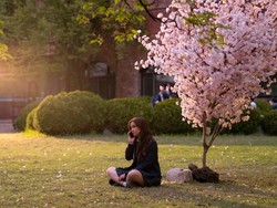 Sinopsis XO, Kitty Season 2 Lengkap Daftar Pemain dan Jadwal Tayang