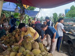 Pedagang Durian Diperbolehkan Berjualan di Palembang, Asalkan...