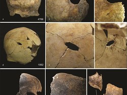 Orang Inggris Melakukan Praktik Kanibalisme pada Zaman Perunggu, Ini Buktinya