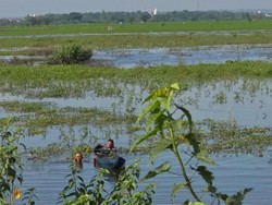 Pelajar SMP Lamongan Tewas Tenggelam di Rawa Usai Perahunya Oleng
