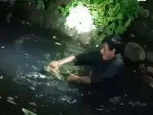 Pria di Makassar Nyemplung Air Tangkap Piton 3 Meter Pakai Tangan Kosong Pria di Makassar Nyemplung Air Tangkap Piton 3 Meter Pakai Tangan Kosong