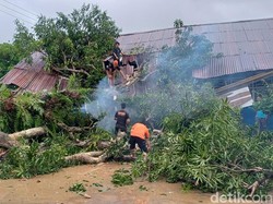 2 Ruang Kelas SD di Pangkep Rusak Berat Tertimpa Pohon Tumbang