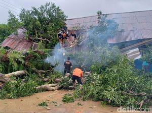2 Ruang Kelas SD di Pangkep Rusak Berat Tertimpa Pohon Tumbang 2 Ruang Kelas SD di Pangkep Rusak Berat Tertimpa Pohon Tumbang