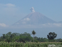 Semeru 8 Kali Erupsi Usai Pendakian Dibuka