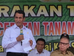 Alokasi Rp 46,8 T, Volume Pupuk Bersubsidi 2025 Kementan Meningkat 100%