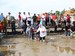 BRIN Apresiasi Pemkot Semarang dan PGN Cetak Sawah 20 Hektare di Pesisir