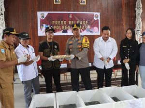 Polisi Ungkap Perdagangan Ilegal 3.194 Ekor Labi-Labi Moncong Babi di Asmat Polisi Ungkap Perdagangan Ilegal 3.194 Ekor Labi-Labi Moncong Babi di Asmat