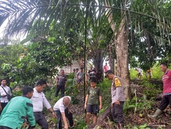 Jatuh dari Pohon Durian Setinggi 15 Meter, Pria di Musi Rawas Ditemukan Tewas