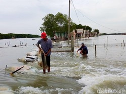 120 Rumah di Indramayu Diterjang Banjir Rob
