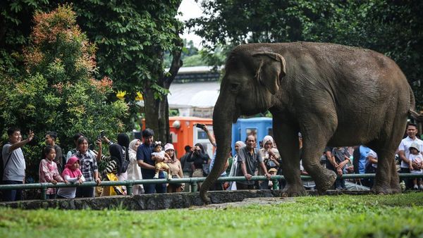 Ramainya Pengunjung Ragunan Saat Libur Natal