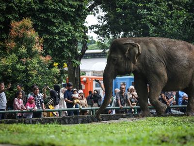 Ramainya Pengunjung Ragunan Saat Libur Natal