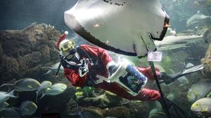 Serunya Melihat Pertunjukan Sinterklas di Dalam Air