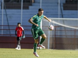 Rekor Apik Slavko Damjanovic: 16 Pekan Baru Dapat 1 Kartu Kuning