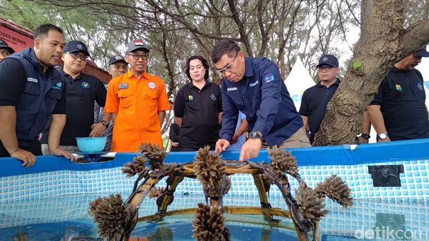 Smart Fisheries Village Banyuwangi