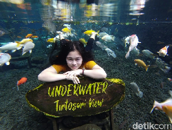 Selfie Keren di Spot Foto Underwater Tirtosari Lumajang