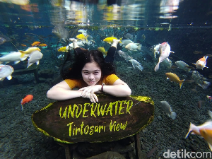 Asyiknya Liburan Nataru di Wisata Alam Tirtosari Lereng Semeru Lumajang Asyiknya Liburan Nataru di Wisata Alam Tirtosari Lereng Semeru Lumajang