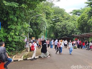 Hari Natal, 26 Ribu Pengunjung Padati Taman Margasatwa Ragunan