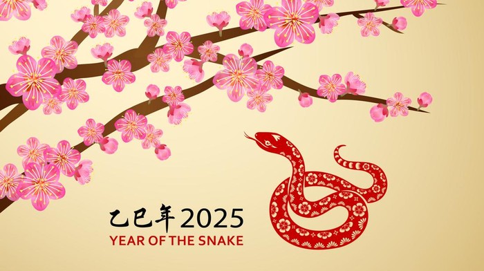 Tahun 2025 Shio Ular Kayu Celebrate Year of the Snake 2025 with papercutting red dragon on the plum blossom background, the Chinese phrase means year of the snake according to lunar calendar system