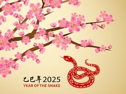 Tahun Ular Kayu 2025, Cek Daftar Bisnis yang Bisa Bikin Kantong Tebal