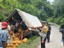 Kronologi Laka Beruntun Libatkan 4 Kendaraan di Jalur Wisata Lampung