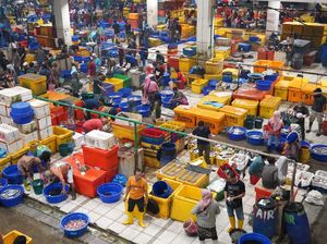 KKP Jamin Pasokan Ikan Aman & Harga Stabil sampai Akhir Tahun