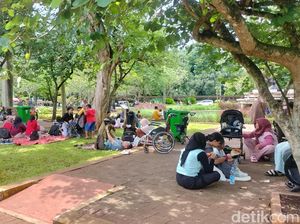 Kesan Disabilitas Pengguna Kursi Roda Mengitari Kebun Binatang Ragunan Kesan Disabilitas Pengguna Kursi Roda Mengitari Kebun Binatang Ragunan