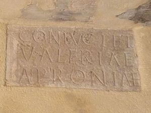 Niat Betulkan Bocor, Seniman Temukan Prasasti Kuno Tersembunyi di Dinding