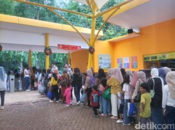 Pengelola Ragunan Targetkan 80 Ribu Pengujung di Tahun Baru 2025