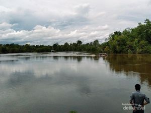 Menyelami Budaya Suku Dayak dan Bertemu Orang Utan di Sei Gohong Menyelami Budaya Suku Dayak dan Bertemu Orang Utan di Sei Gohong