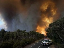 Kebakaran Hebat Landa Australia, 74 Ribu Hektare Hutan Ludes