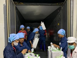 Jelang Pergantian Tahun, RI Ekspor Ribuan Ton Ikan ke AS-Australia