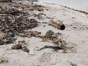 Misteri Temuan Potongan Tubuh Manusia di Pesisir Pantai Selayar Misteri Temuan Potongan Tubuh Manusia di Pesisir Pantai Selayar