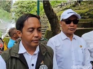 Menhut Mau Siapkan Hutan buat Cadangan Pangan hingga Energi Menhut Mau Siapkan Hutan buat Cadangan Pangan hingga Energi