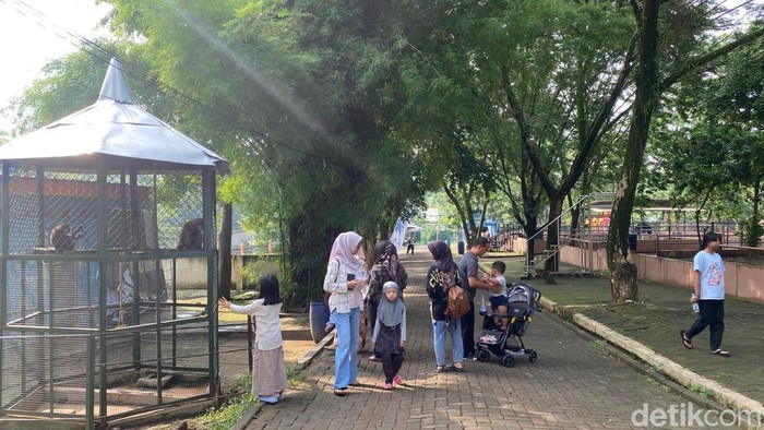 Wisata Semarang Suasana hadirin menonton satwa di Semarang Zoo, Kecamatan Ngaliyan, Jumat (27/12/2024).