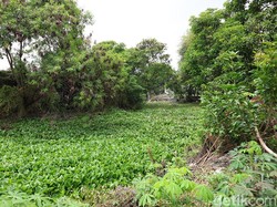 Warga Minta Normalisasi Avur Cegah Banjir Gununganyar-Rungkut Menanggal