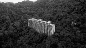 Terkuak! Potret Hotel Tengah Hutan Mangkrak dan Terlupakan 7 Dekade!