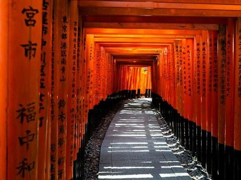 Kyoto/Foto: Unsplash/David Emrich