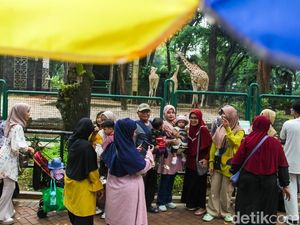 Liburan Murmer Weekend Terakhir 2024 di Ragunan
