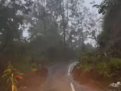 Longsor di Jalur Bromo Via Malang, Pengguna Jalan Diimbau Hati-hati